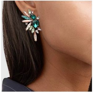 Stunning Statement Earrings
